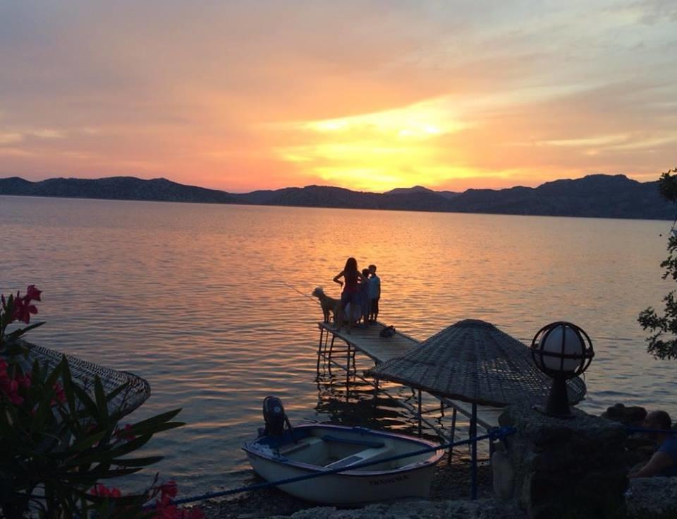 Mavi Akvaryum Pension Ξενοδοχείο Sogut  Εξωτερικό φωτογραφία